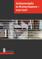 Schimmelpilz in Wohnräumen – was tun?
