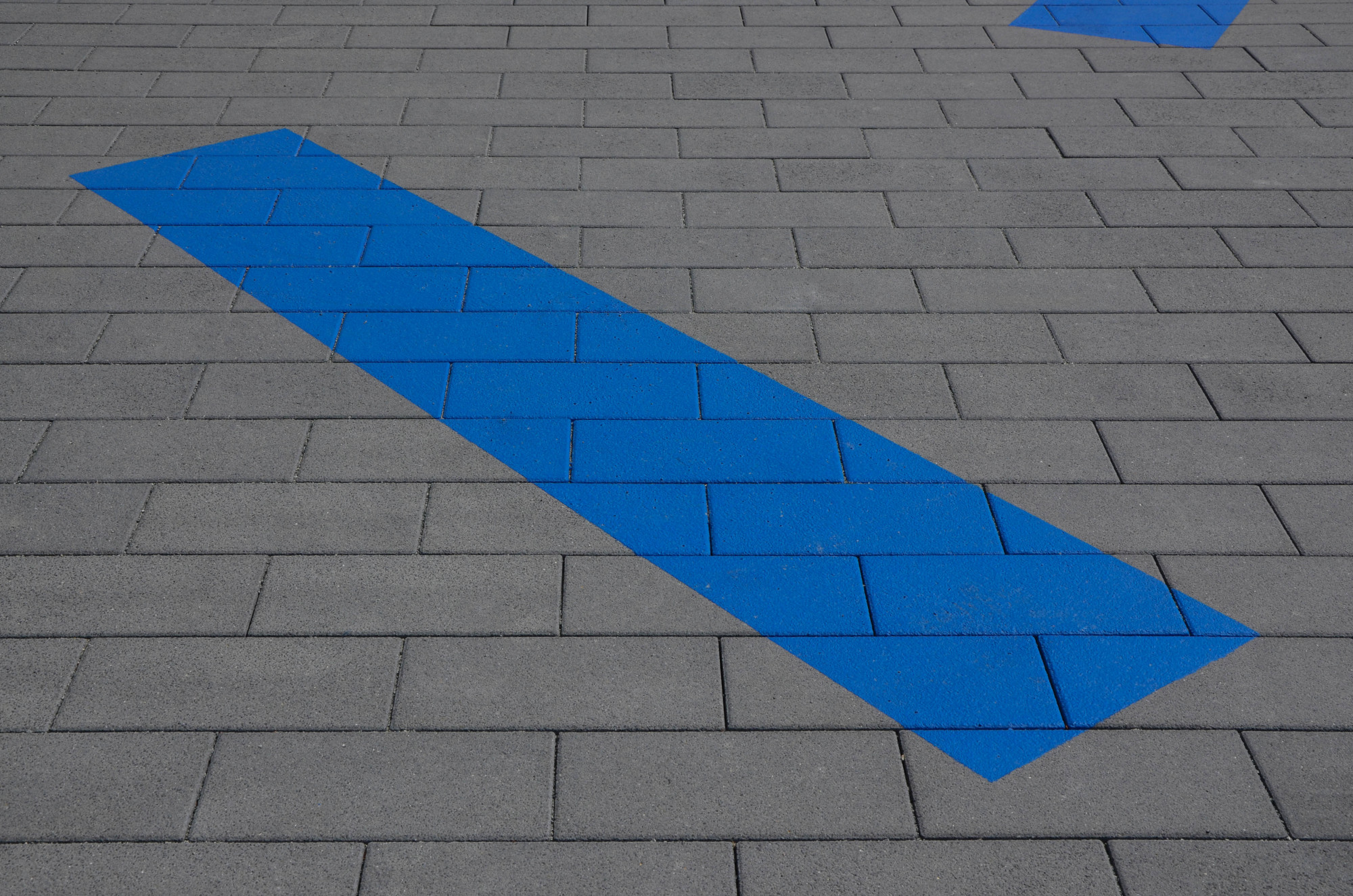 Bildungszentrum „Tor zur Welt“ in Hamburg | Boden | Bildung | Baunetz