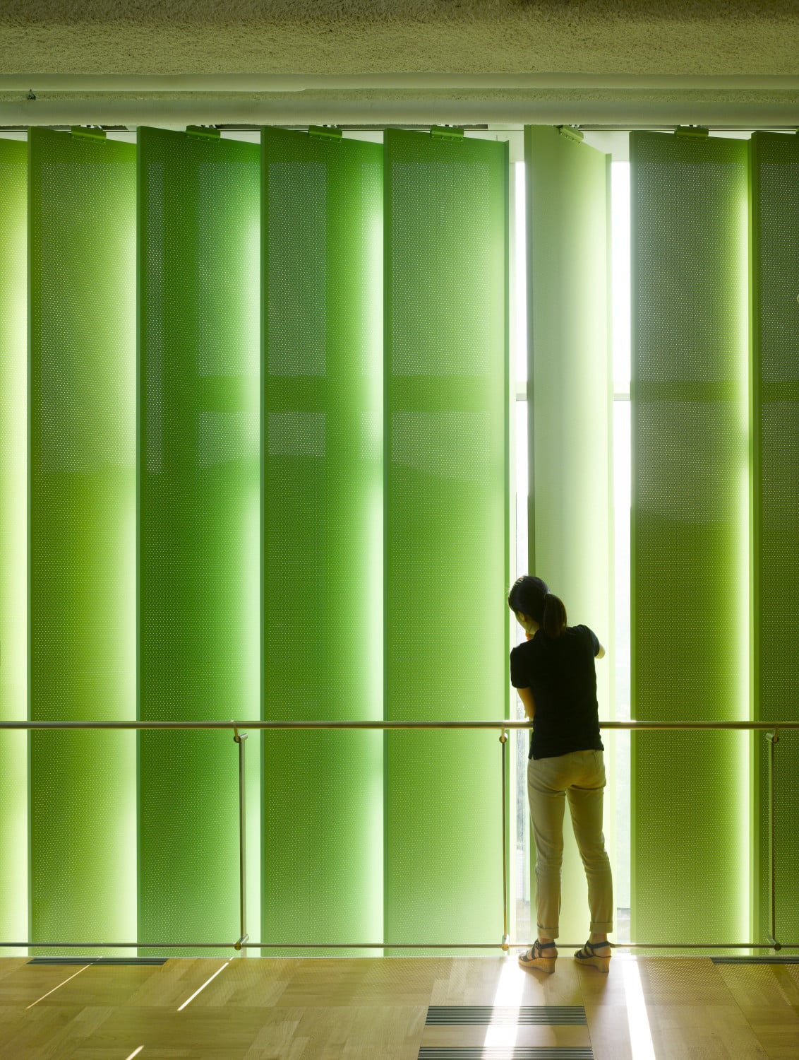 Als Sonnenschutz wurden breite, semitransparente vertikale Sonnenschutzlamellen in verschiedenen Grüntönen auf der Innenseite der Glasfassade angebracht