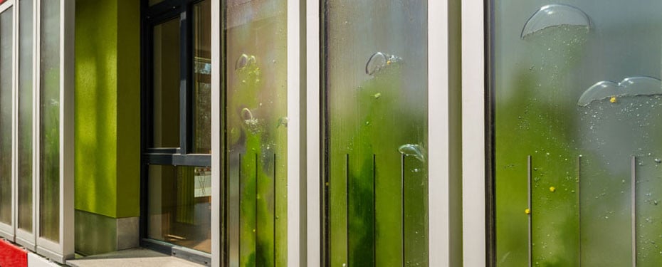 Mithilfe von Tageslicht unter Zugabe von CO2, Wasser und Nährstoffen vermehren sich die Mikroalgen schnell