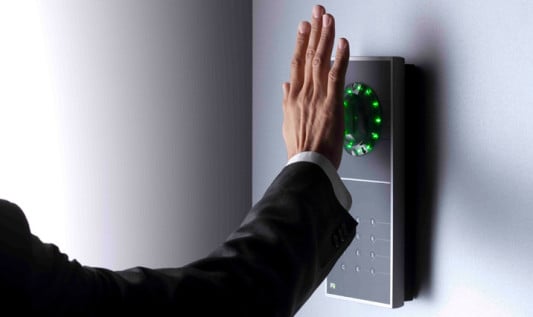 Das Muster der Venen einer Handfläche ist individuell