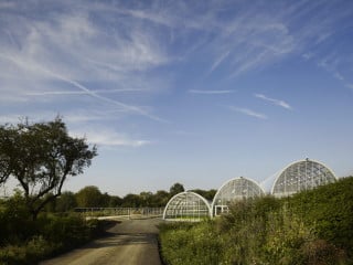 Einen Geländeversprung nutzend, schmiegen sich die drei Glashäuser in die Topografie des Grundstücks