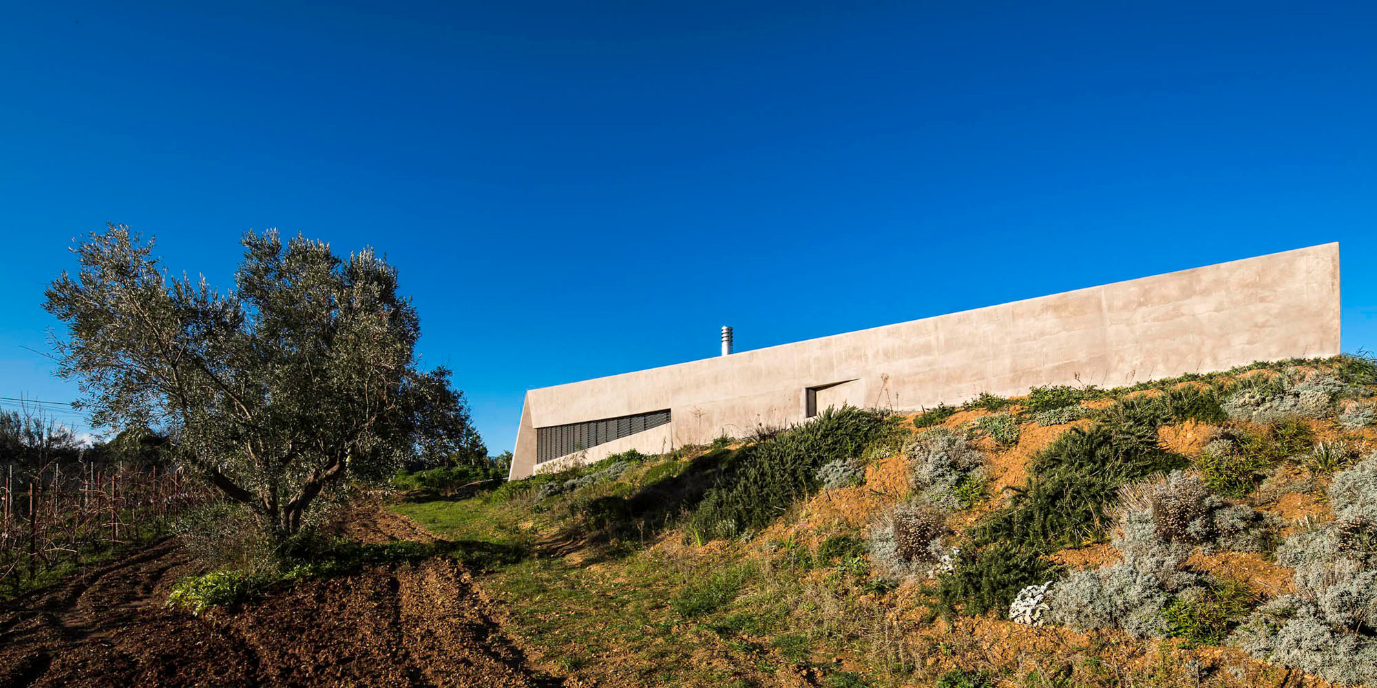 Teilansicht Süd: Eingebettet in die von Olivenhainen, Gräsern und Kräutern geprägte Landschaft des griechischen Festlands liegt das Wohnhaus am Hang