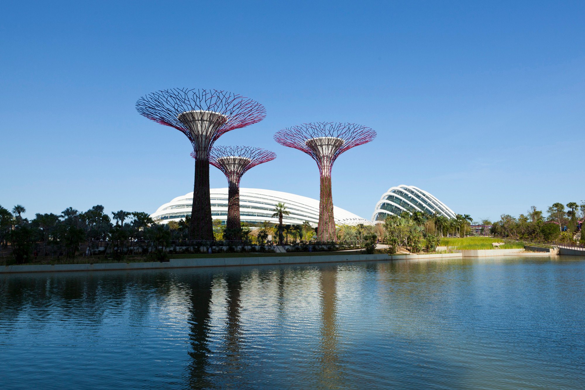 Die zwei gigantischen Gewächshäuser „Cloud Forest“ und „Flower Dome“ vor den nicht weniger gigantischen „Supertrees“