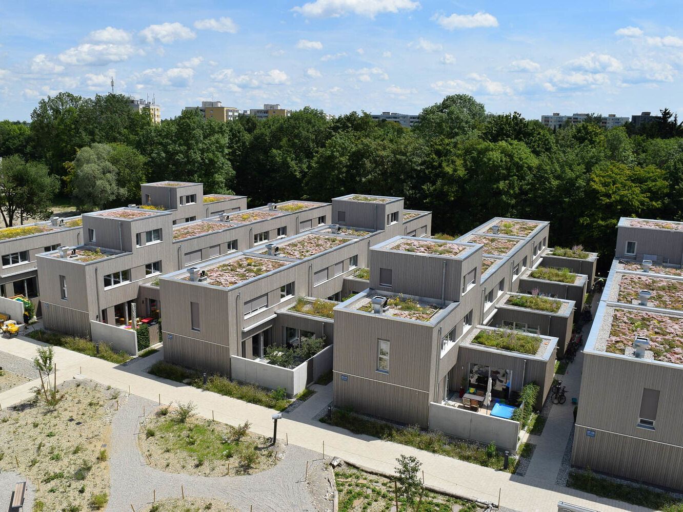 Bundesverband GebäudeGrün