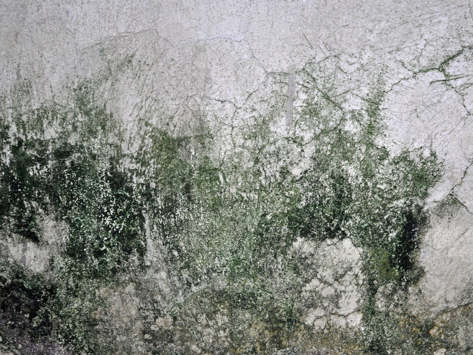 Als Zielsetzung zur Vermeidung von Schimmel gilt eine Oberflächentemperatur (der Außenwand auf der Innenseite gemessen) von mindestes 12,6°C