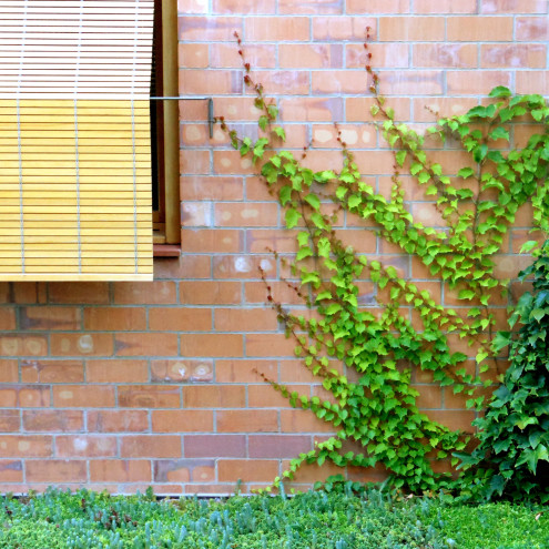 Haus 1101 in Sant Cugat del Vallès | Sonnenschutz | Wohnen | Baunetz_Wissen