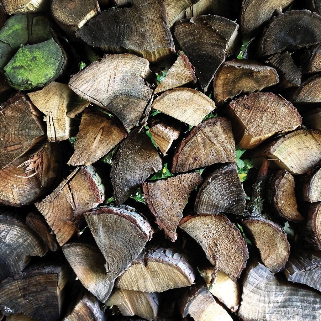 Das Holz wird hier getrocknet und gelagert