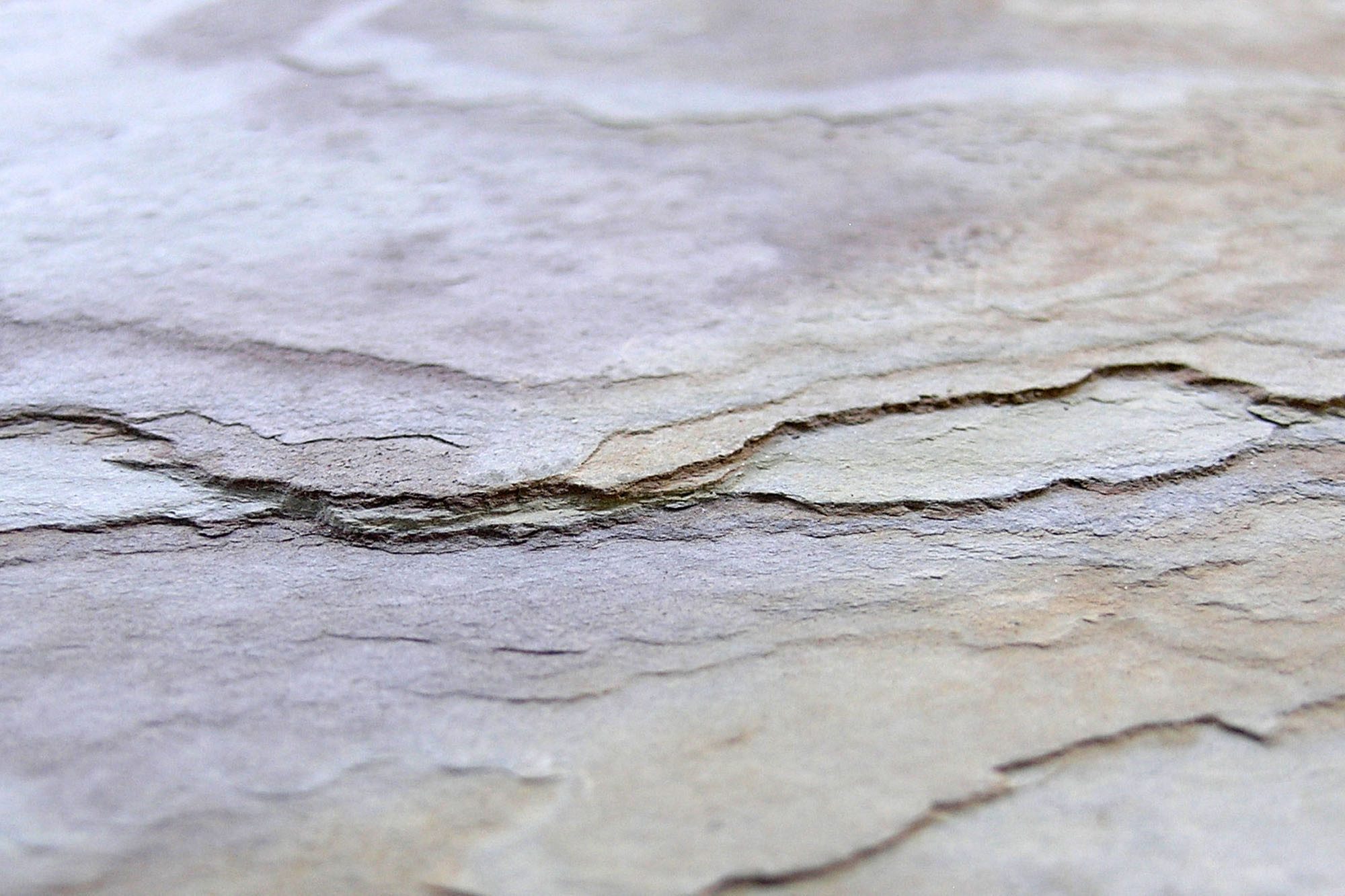 Falling Leaves (Buntschiefer, Detail)