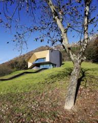 Das Wohnhaus zeigt sich nach Süden mit Verglasungen und leicht geneigten, holzverschalten Flächen