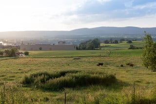 Ansicht Südost: Das Kräuterzentrum liegt als großer schlichter Block in der Landschaft