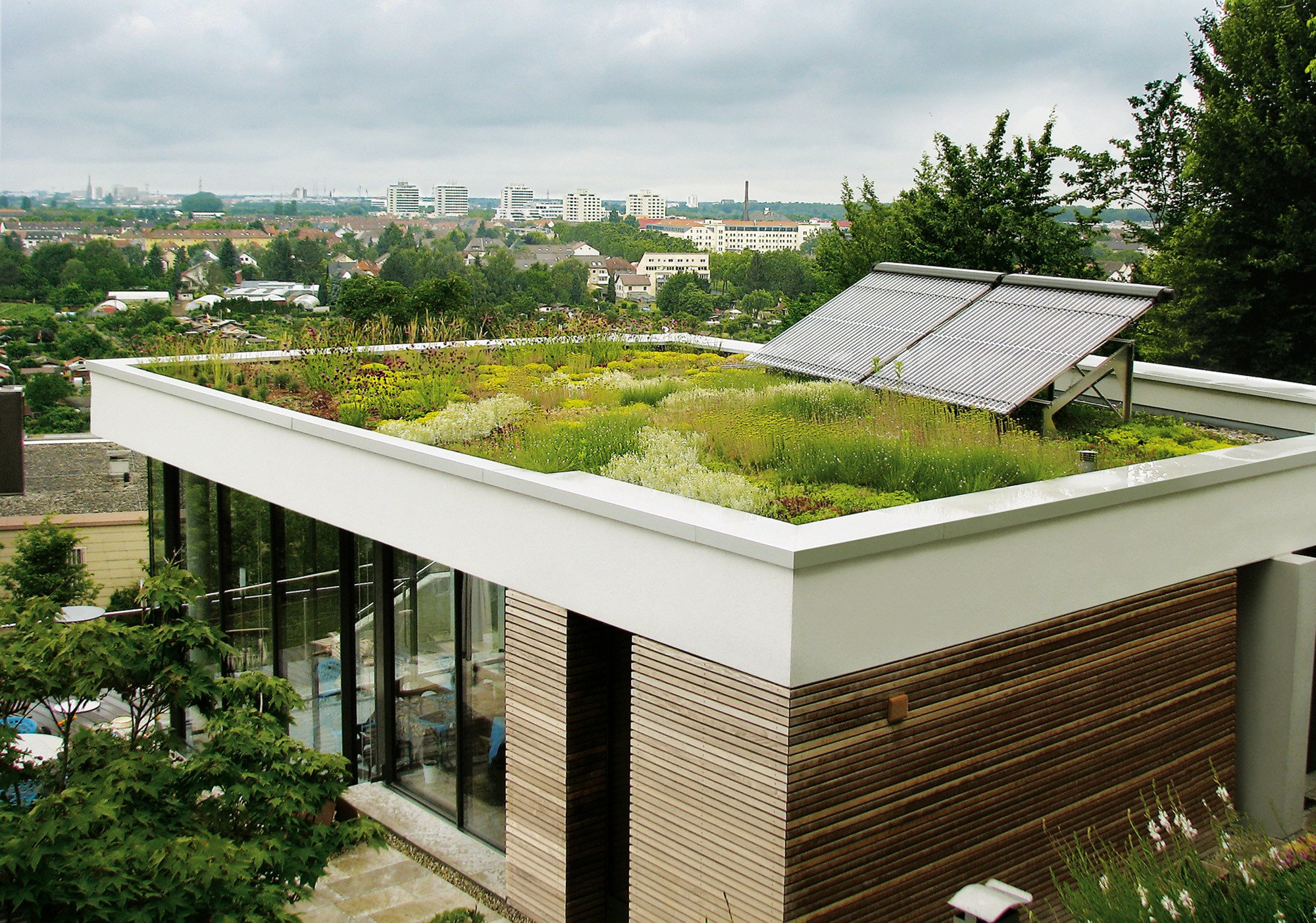 барселона roof garden. эксплуатируемая кровля здания. терраса с плоской крышей. дом бадаева эксплуатируемая кровля. эксплуатируемая кровля id murino.