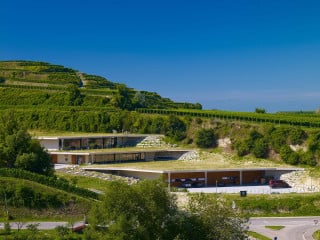 Ansicht Ost: Das Gebäudevolumen verteilt sich auf drei zueinander versetzten Ebenen, die mit den Weinbergterrassen verzahnt sind