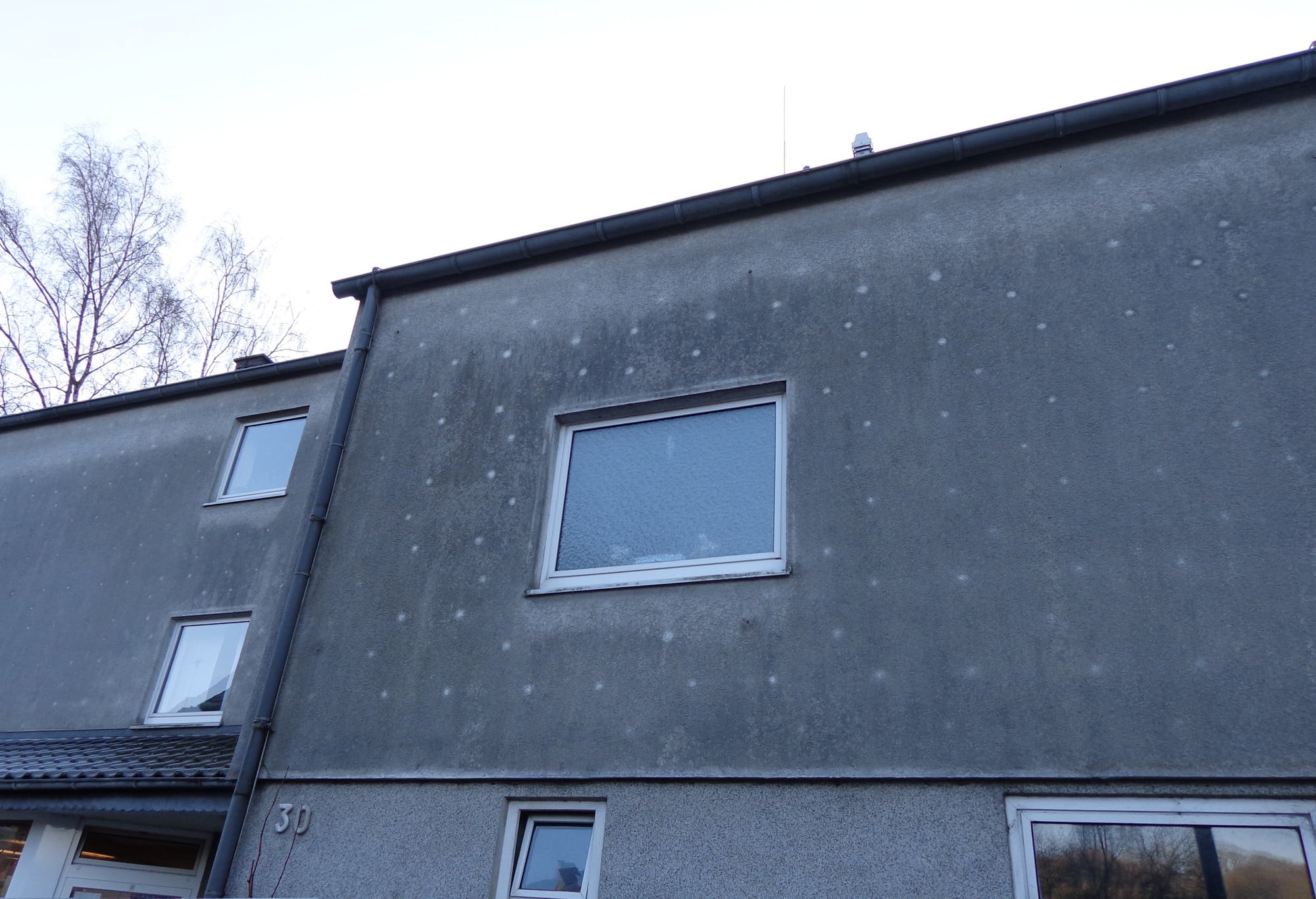 Fassade mit einem gedübelten WDVS: Im Bereich der Dübel kommt es aufgrund der Wärmebrückeneffekte zu höheren Wärmeströmen und damit zur punktuellen Trocknung; den Algen wird die Lebensgrundlage entzogen