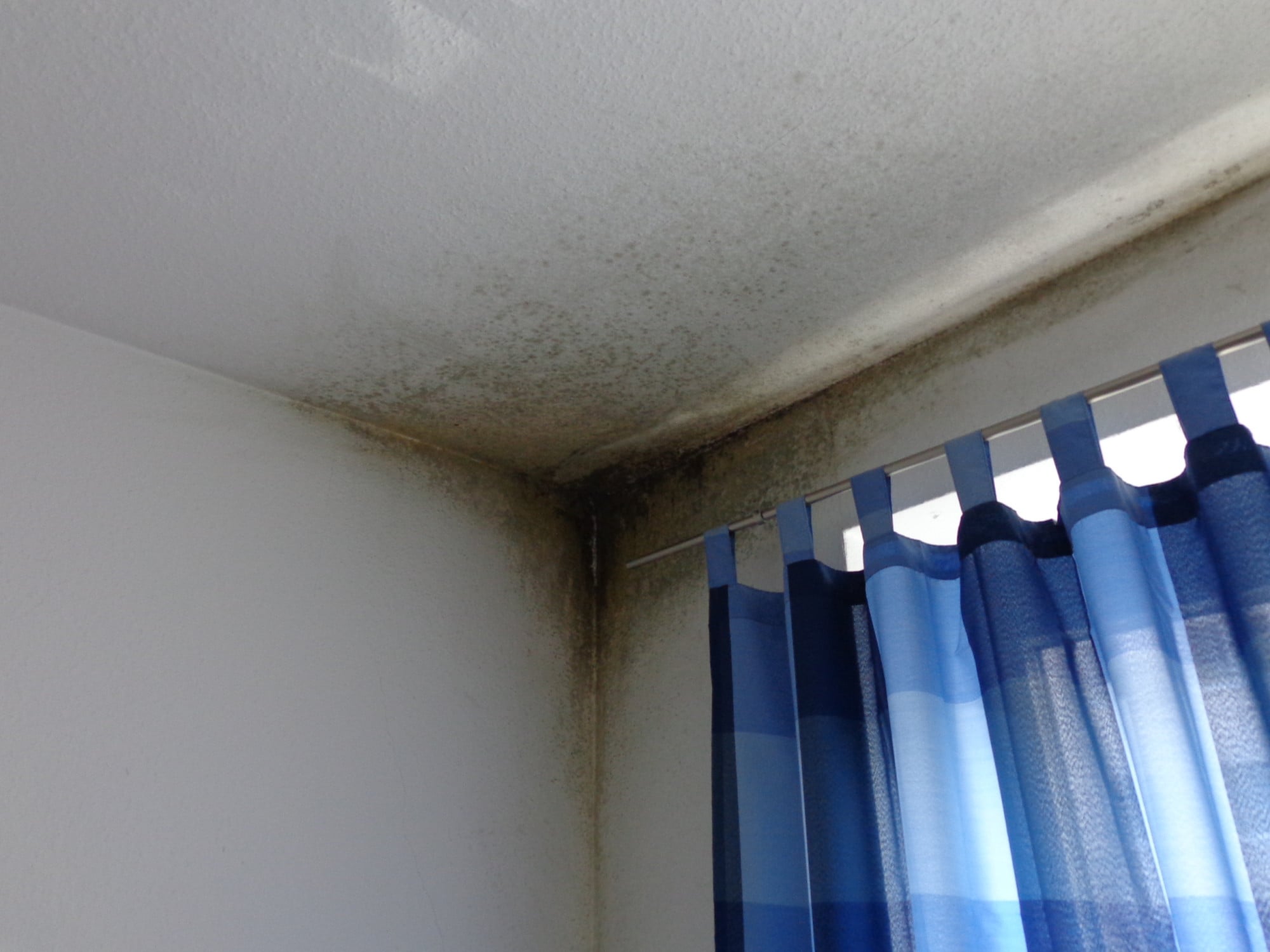 Dreidimensionale Wärmebrücke in einem Raum: Aufgrund der geringeren Oberflächentemperatur kommt es im Eckbereich zuerst zum Kondensatausfall, der die Grundlage für einen Schimmelpilzbefall liefert