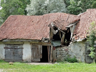Hagelschlag 