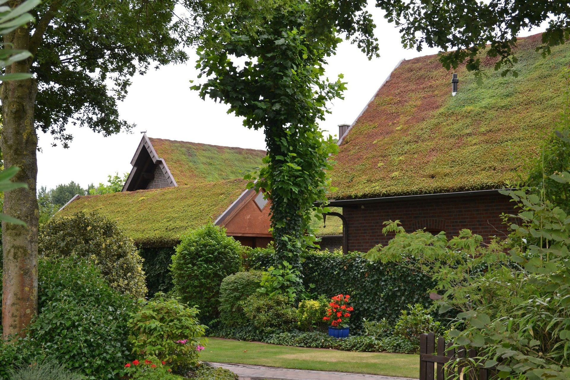 Die Gründachpfannen sind für die extensive Begrünung von Steildächern mit Neigungen bis zu 45° konzipiert