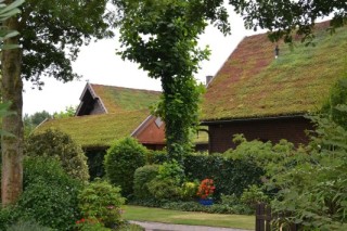Die Gründachpfannen sind für die extensive Begrünung von Steildächern mit Neigungen bis zu 45° konzipiert