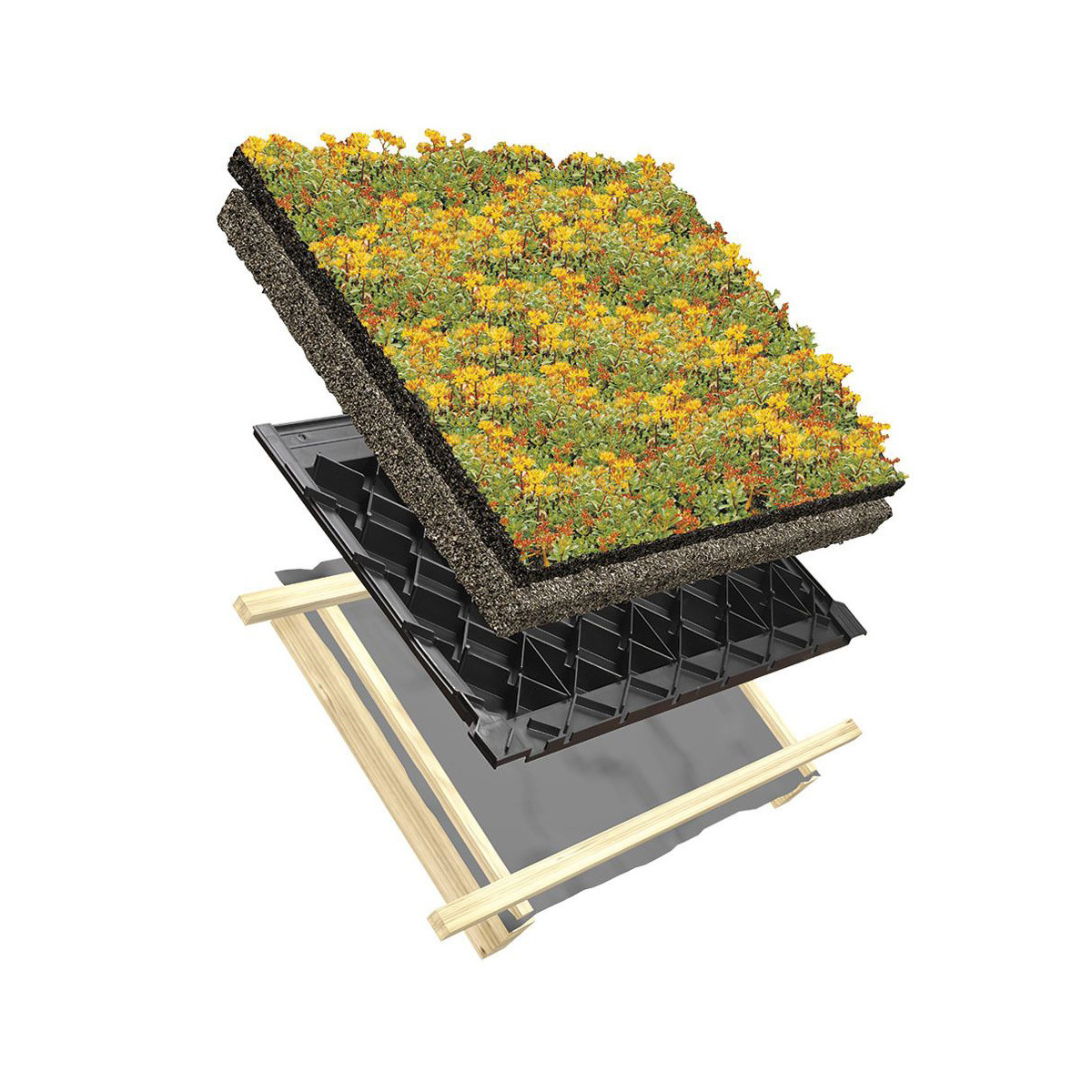In die Wabenstruktur der Pfannen werden vorkultivierte Sedum-Matten und Substrate eingebracht