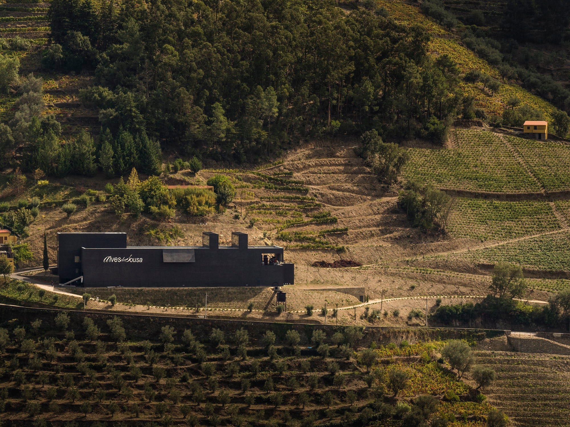 Das Weingut erscheint als dunkler, zweigeteilter Block (Westansicht)