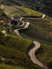 Weingut Alves de Sousa in Santa Marta de Penaguiao