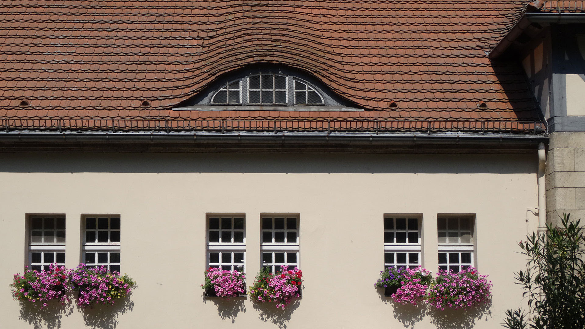 Fledermausziegel an einem sanierten Altbau