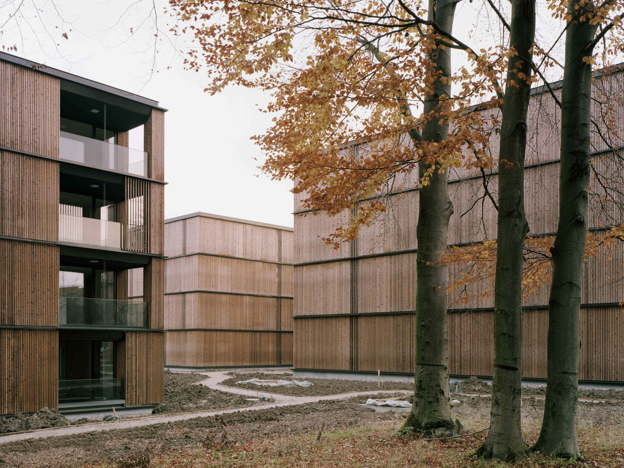Wohnsiedlung Escherpark in Zürich | Bauphysik | Wohnen | Baunetz_Wissen
