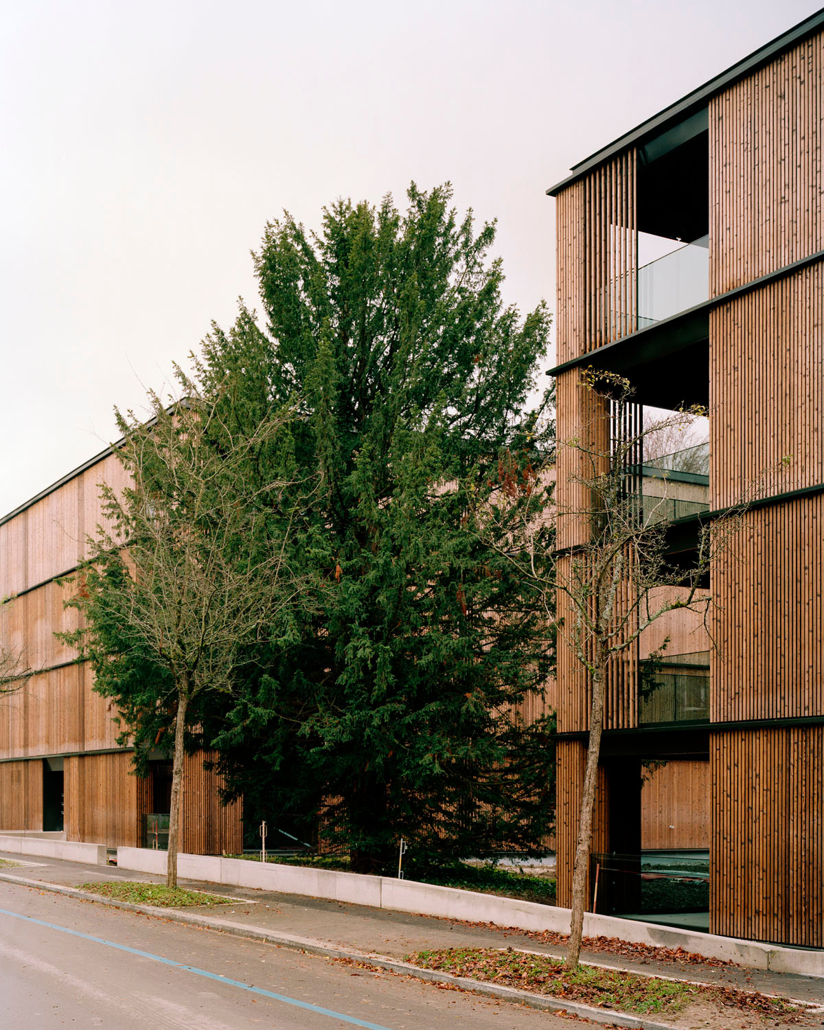 Wohnsiedlung Escherpark in Zürich | Bauphysik | Wohnen | Baunetz_Wissen