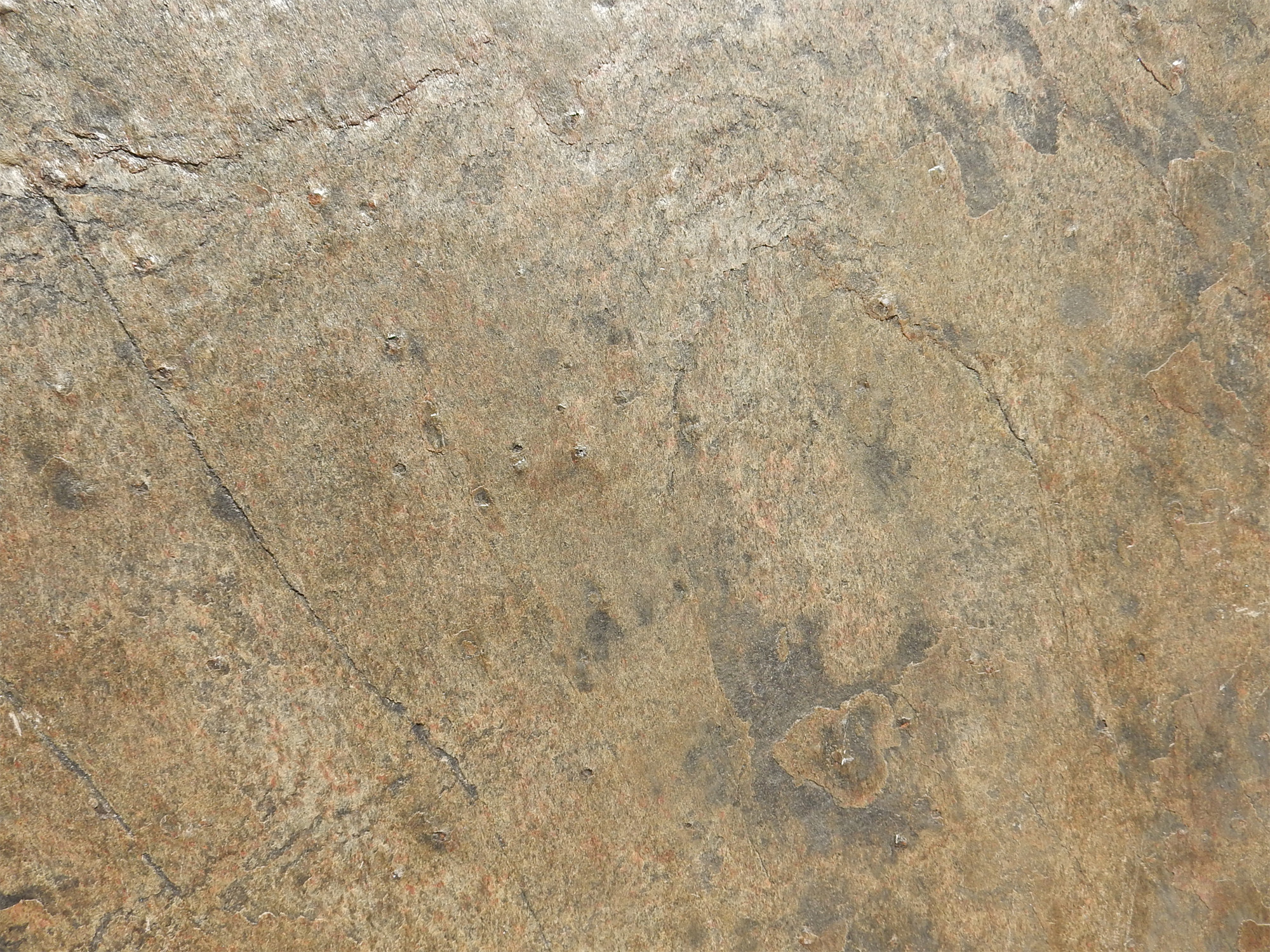 Variante Stone