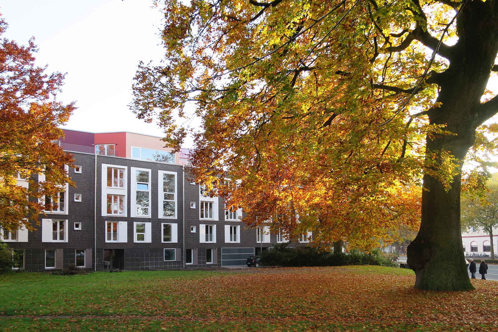 Nach Norden hin orientiert sich der von Bolles+Wilson entworfene Wohnungsbau zu einem kleinen Park; diese Fassade ist mit dunklen Klinkern verblendet