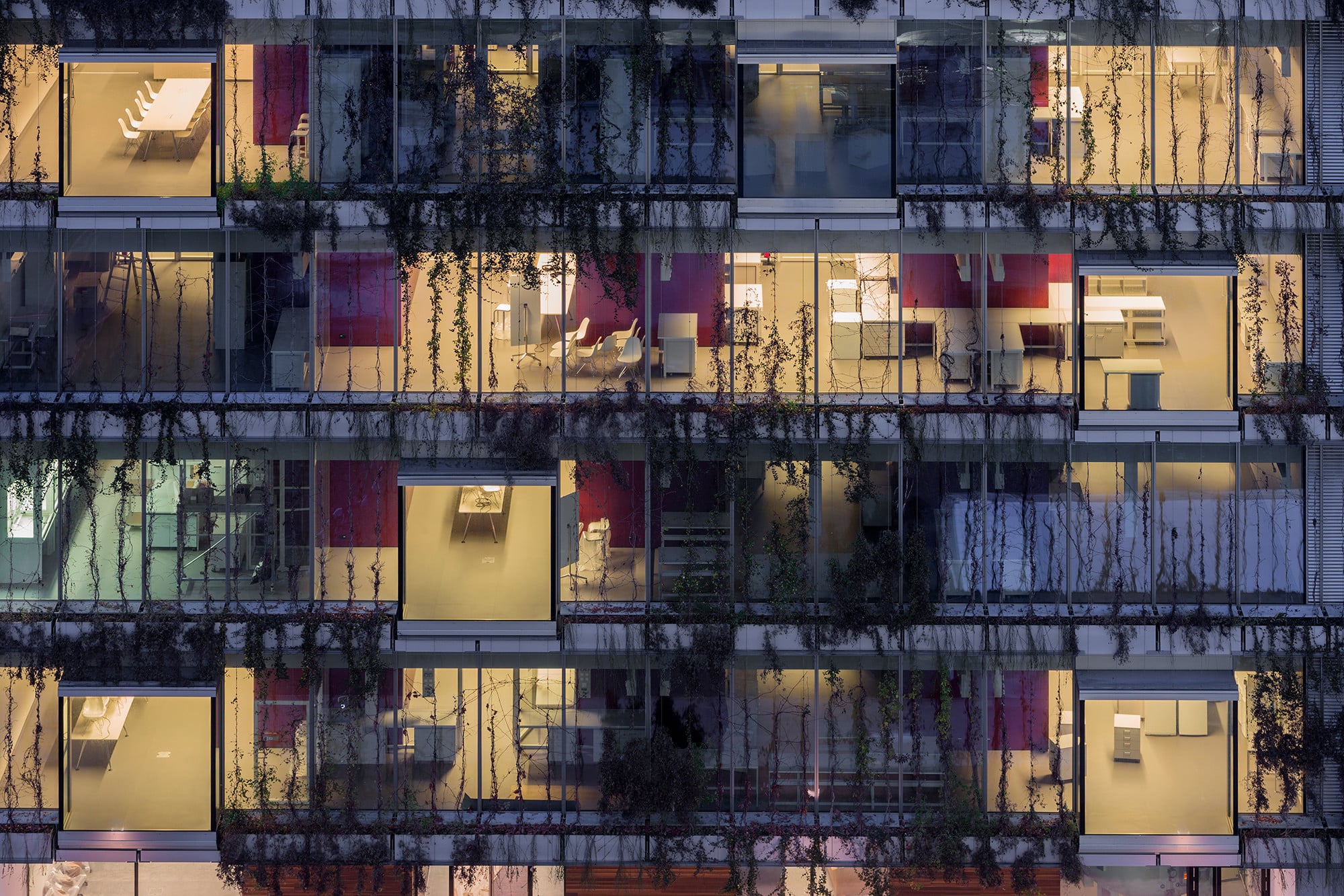 Eine intensiv begrünte Fassade absorbiert außerdem Schall und Kohlenstoffdioxid und steigert die Biodiversität 