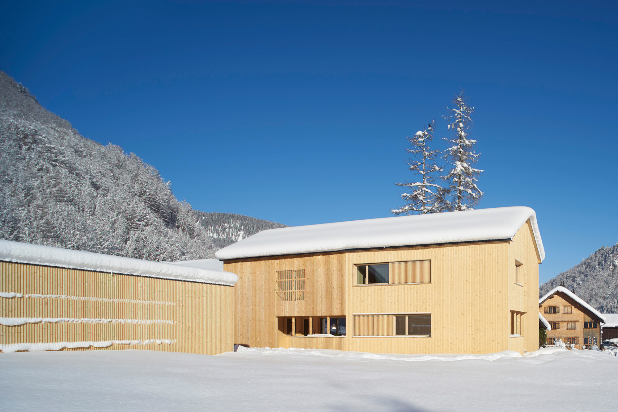 Das Doppelhaus wurde in Modulbauweise errichtet, die gesamte, folienfreie Massivholzkonstruktion sowie Fassade, Wände und Decken bestehen aus heimischer Fichte (Südansicht)