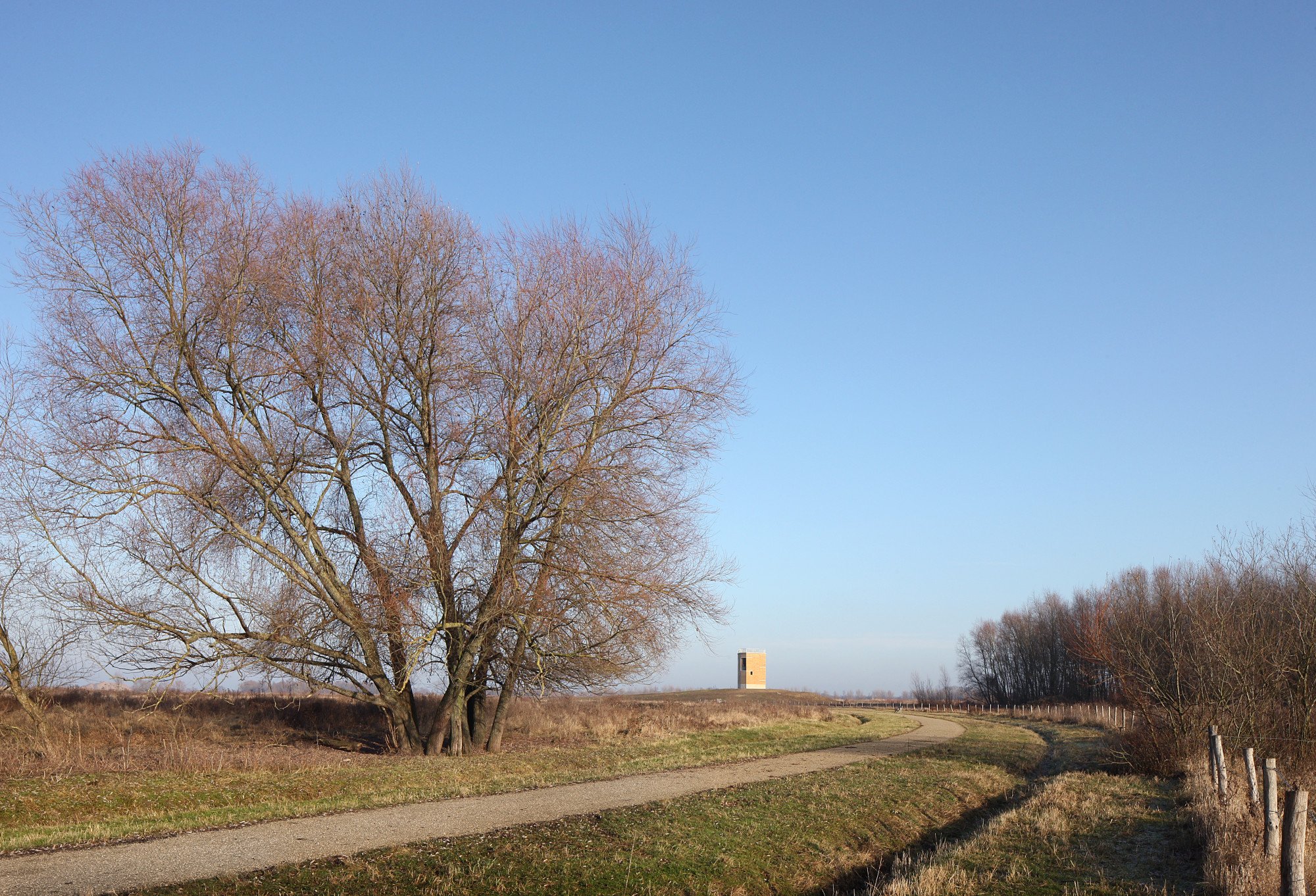 Linksseitig der Maas und rechtsseitig der belgischen Kleinstadt Dilsen-Stokkem, befindet sich das Naturschutzgebiet Negenoord