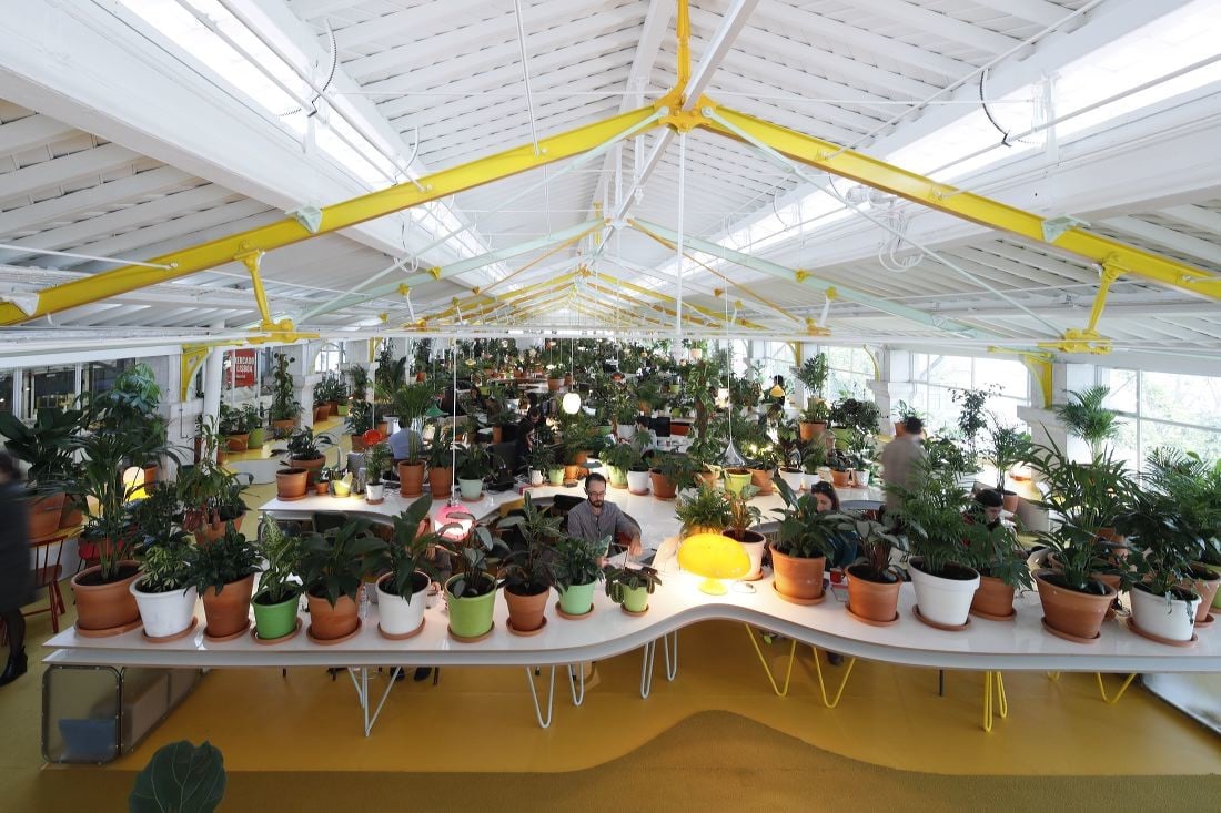 Mercado_Da_Ribeira_Selgascano_Lissabon_05