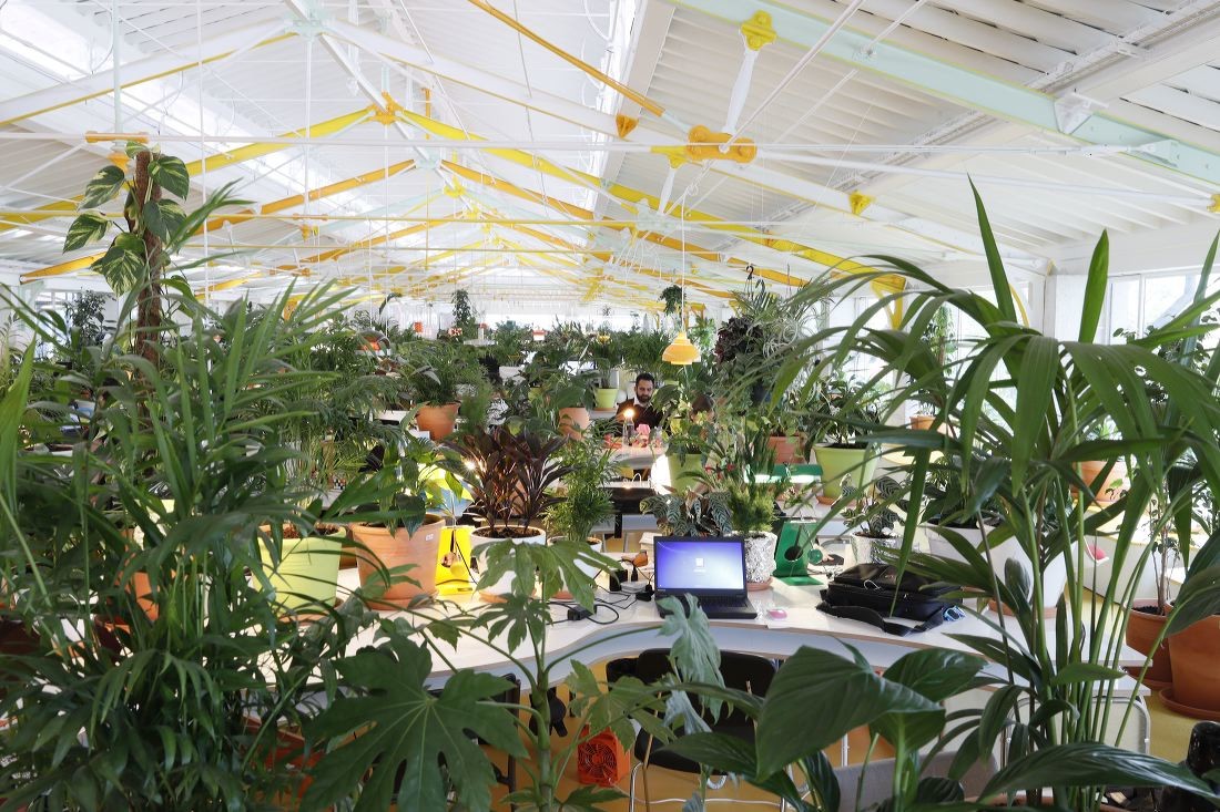 Coworking Buro Second Home In Lissabon Gebaudetechnik Buro Verwaltung Baunetz Wissen