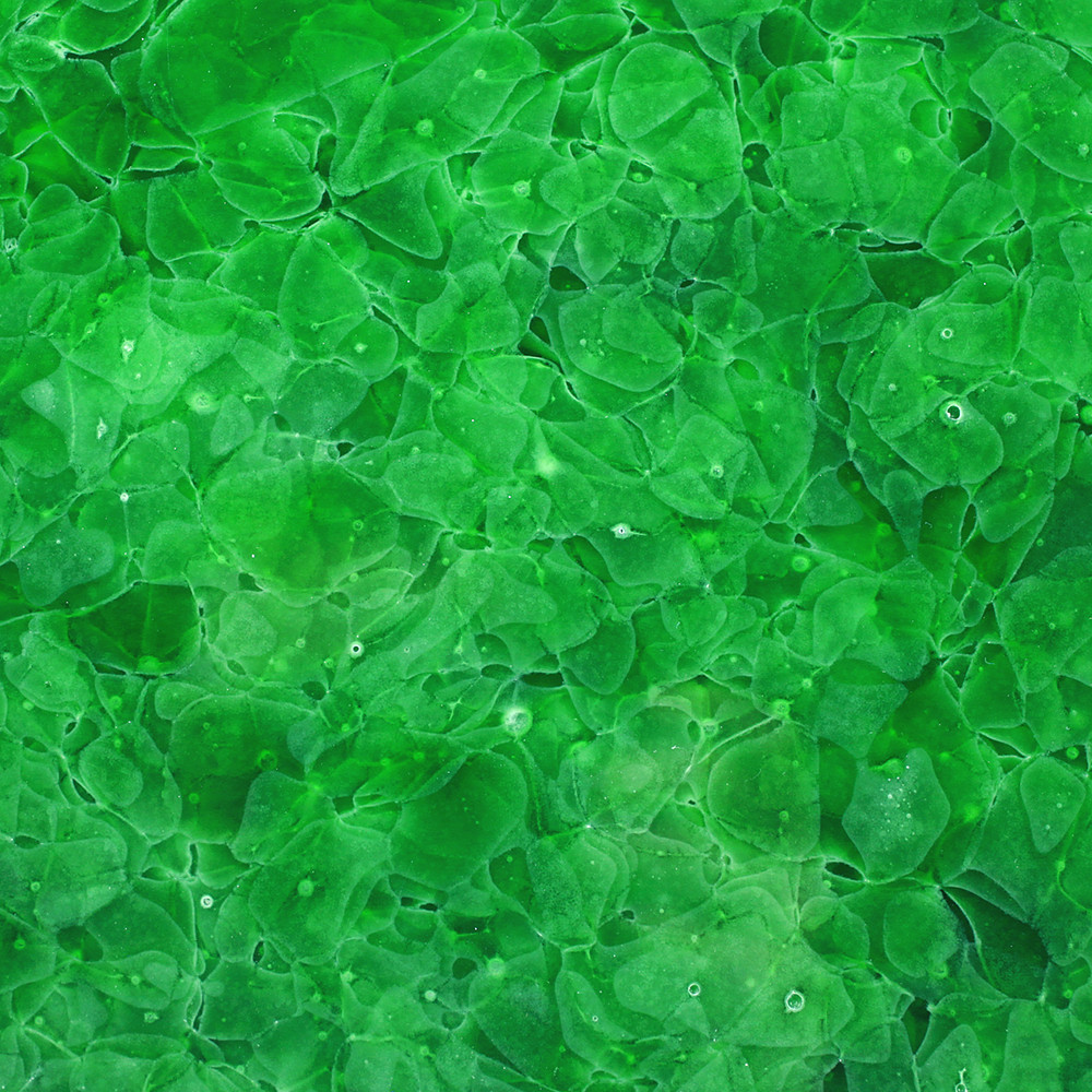 Lithodecor_Airtec_Glasskeramik_03