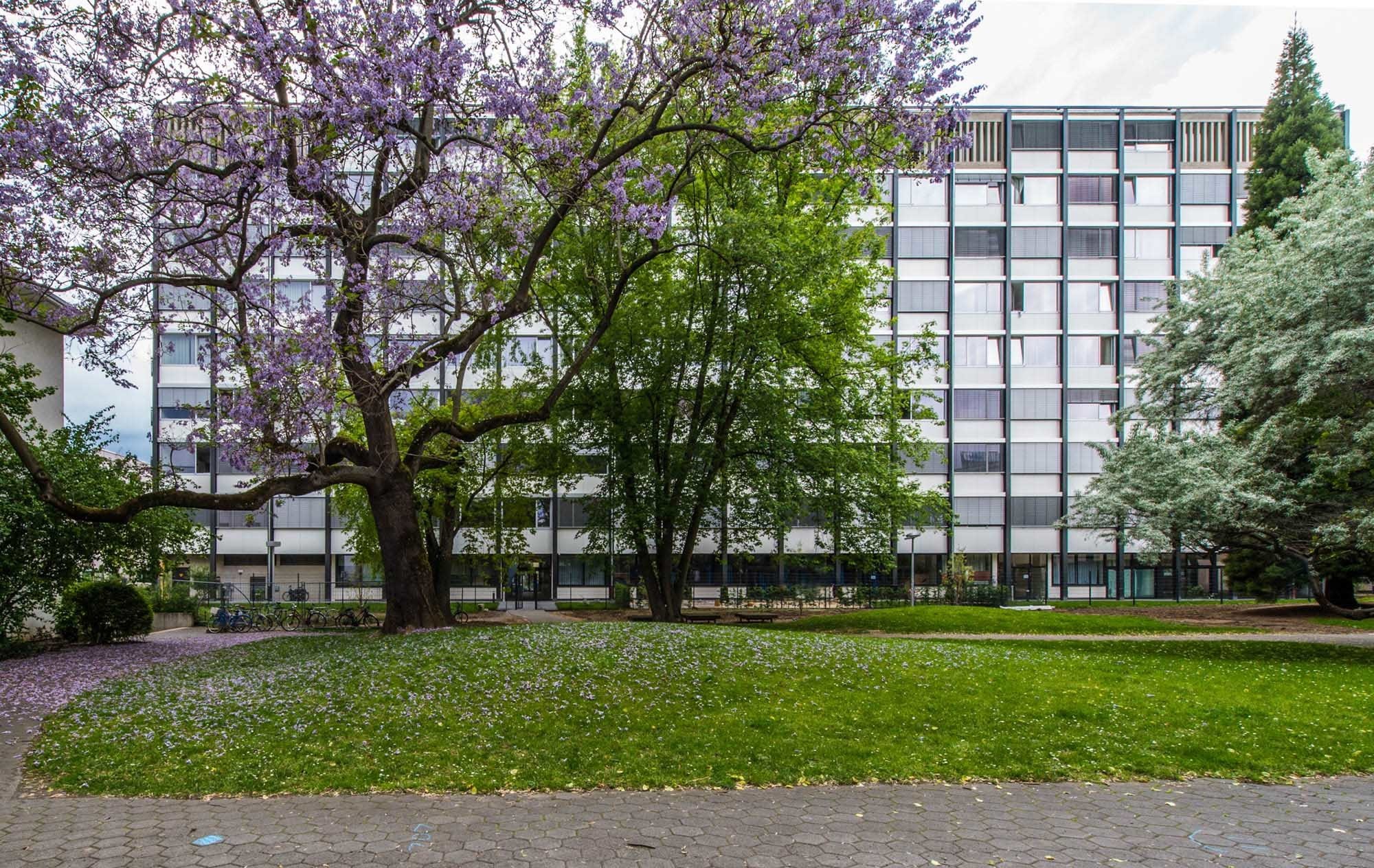 Das denkmalgeschützte Philosophicum erhielt eine neue Fassade in Anlehnung an das Original (Ostansicht)