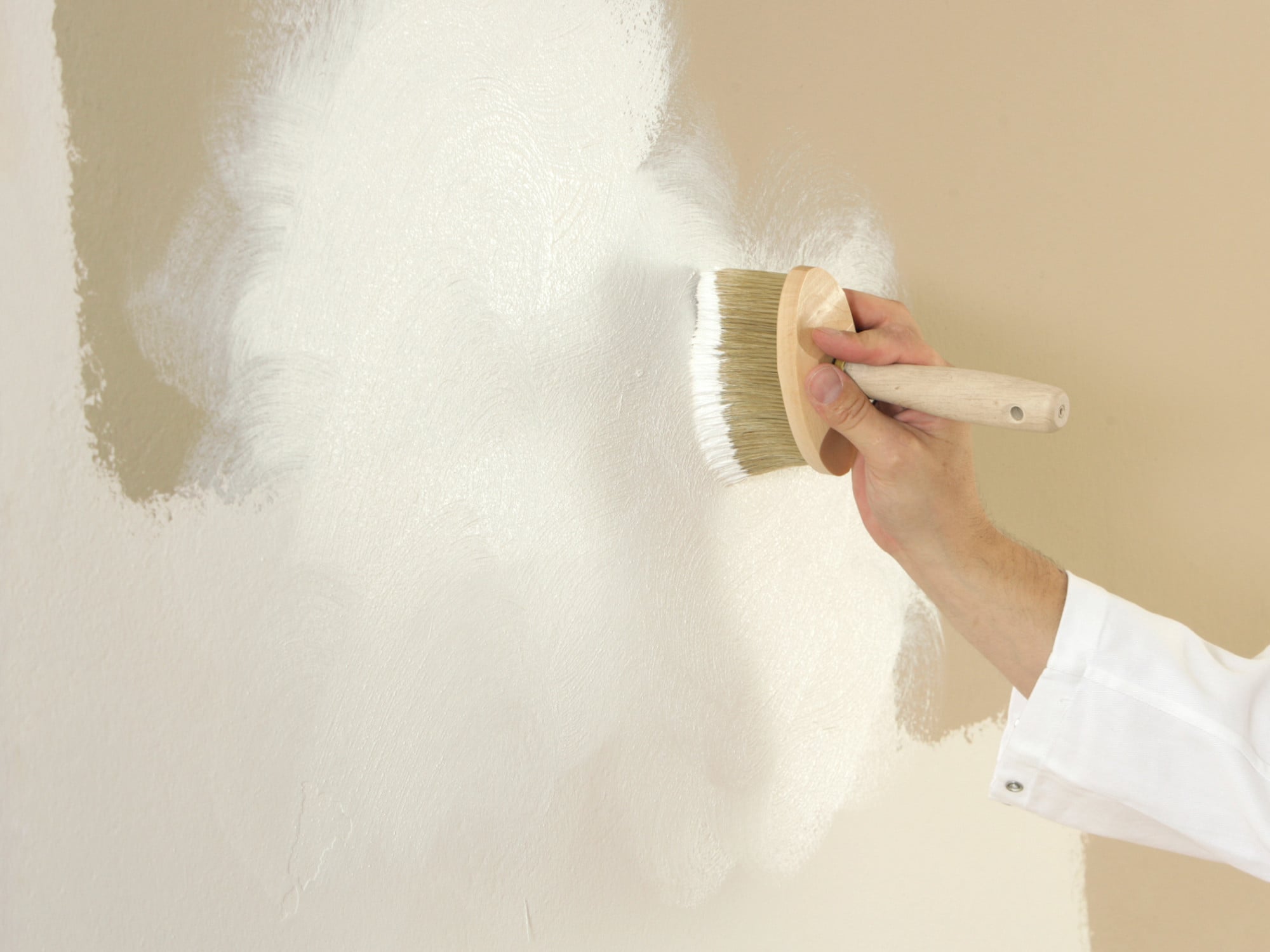 Kalkfarbe für Innenwände | Gesund Bauen | News/Produkte | Baunetz_Wissen