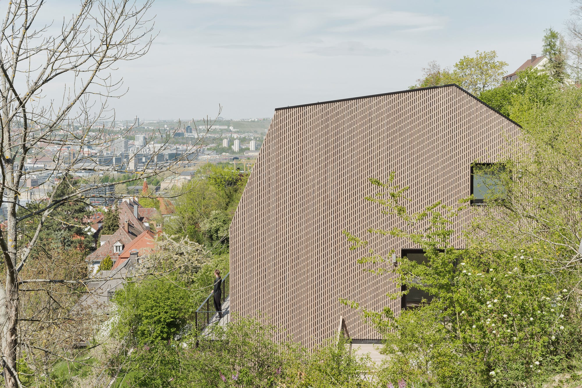 Aus der Ferne ergibt die besondere Lattung der Fassade einen Moiré-Effekt