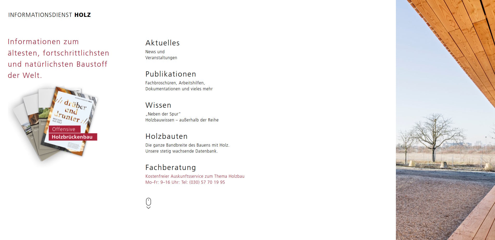 Informationsdienst Holz