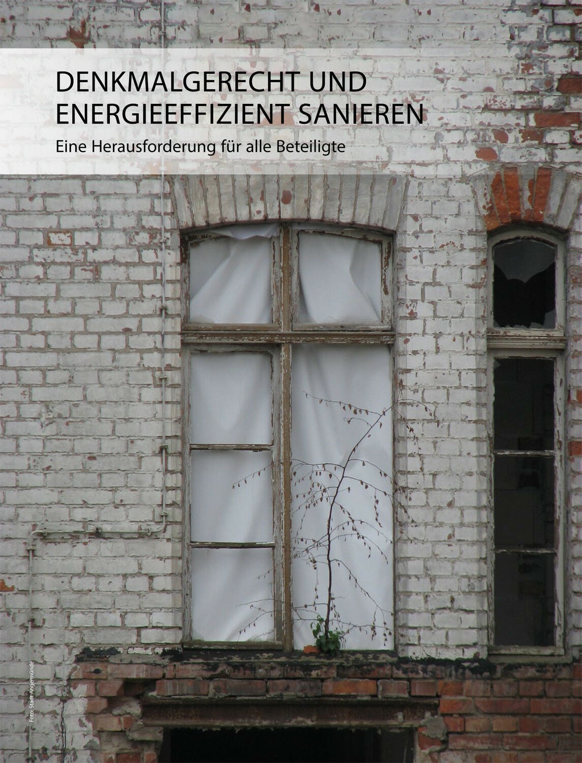 Denkmalgerecht und energieeffizient sanieren