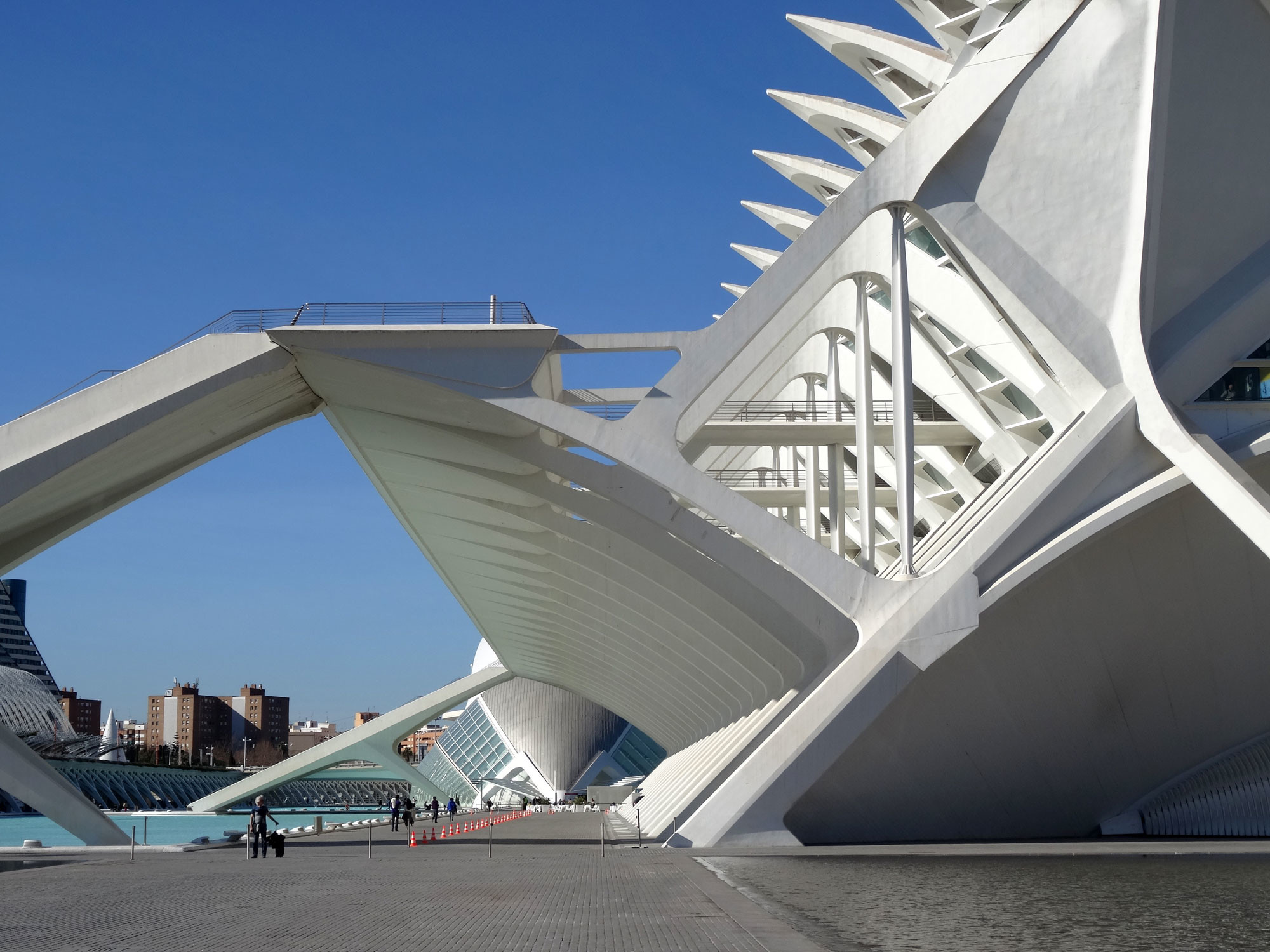Betonstreben am Museu de les Ciencies Prinicipe Felipe in Valencia, Architekt: Santiago Calatrava