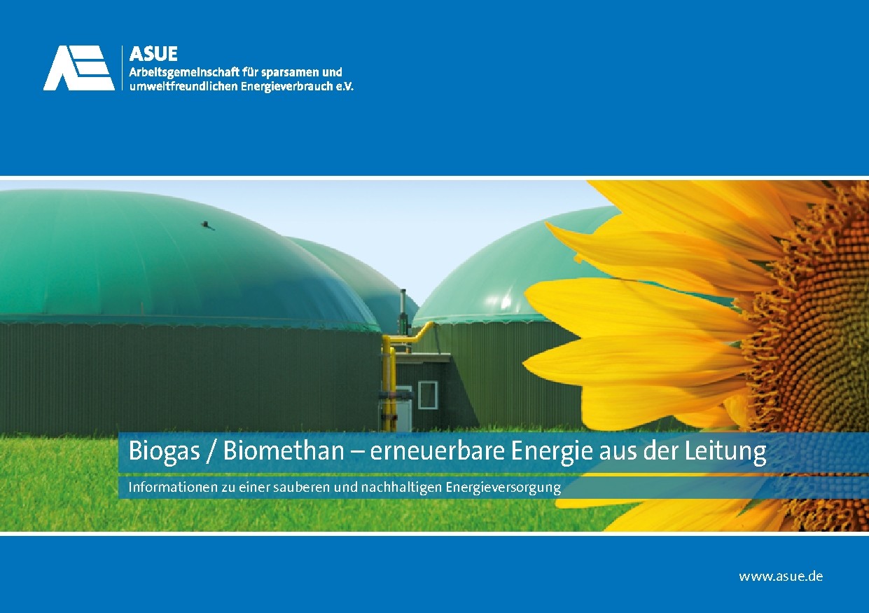 Die Broschüre liefert auf zwanzig Seiten die wichtigsten Fakten zur Herstellung und Verwendung von Biogas und Biomethan