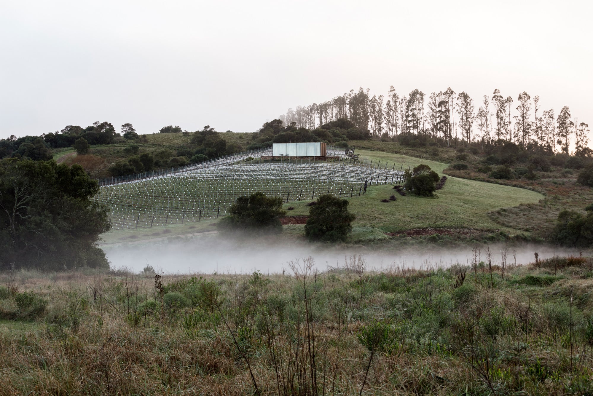 Die Wohnkabinen verteilen sich auf einer idyllischen Erhebung mit Weinhang unweit des Dorfes El Eden