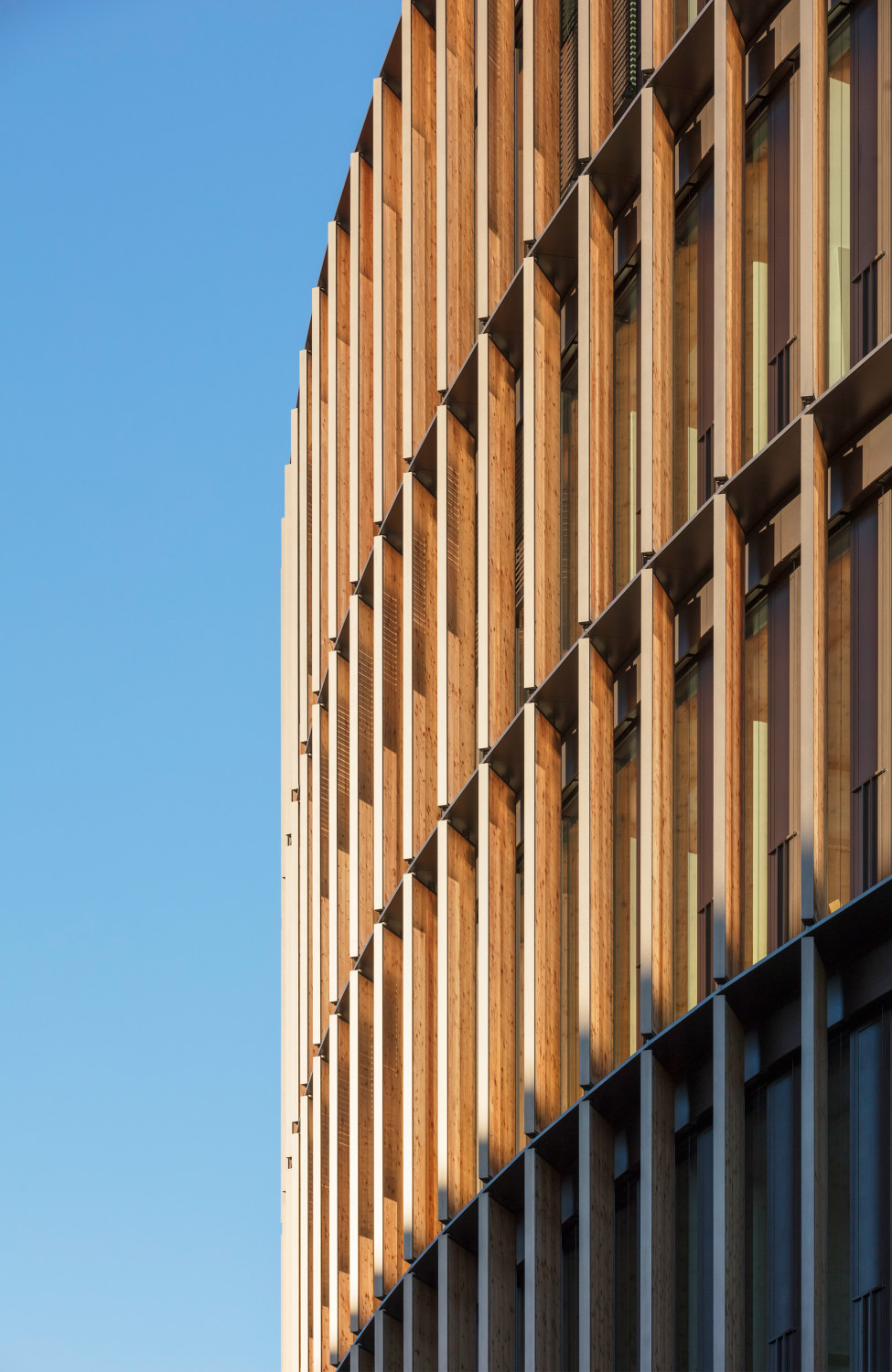An der Nordfassade, wo kein Solarertrag zu erwarten ist, sind reine Holzplattenelemente montiert