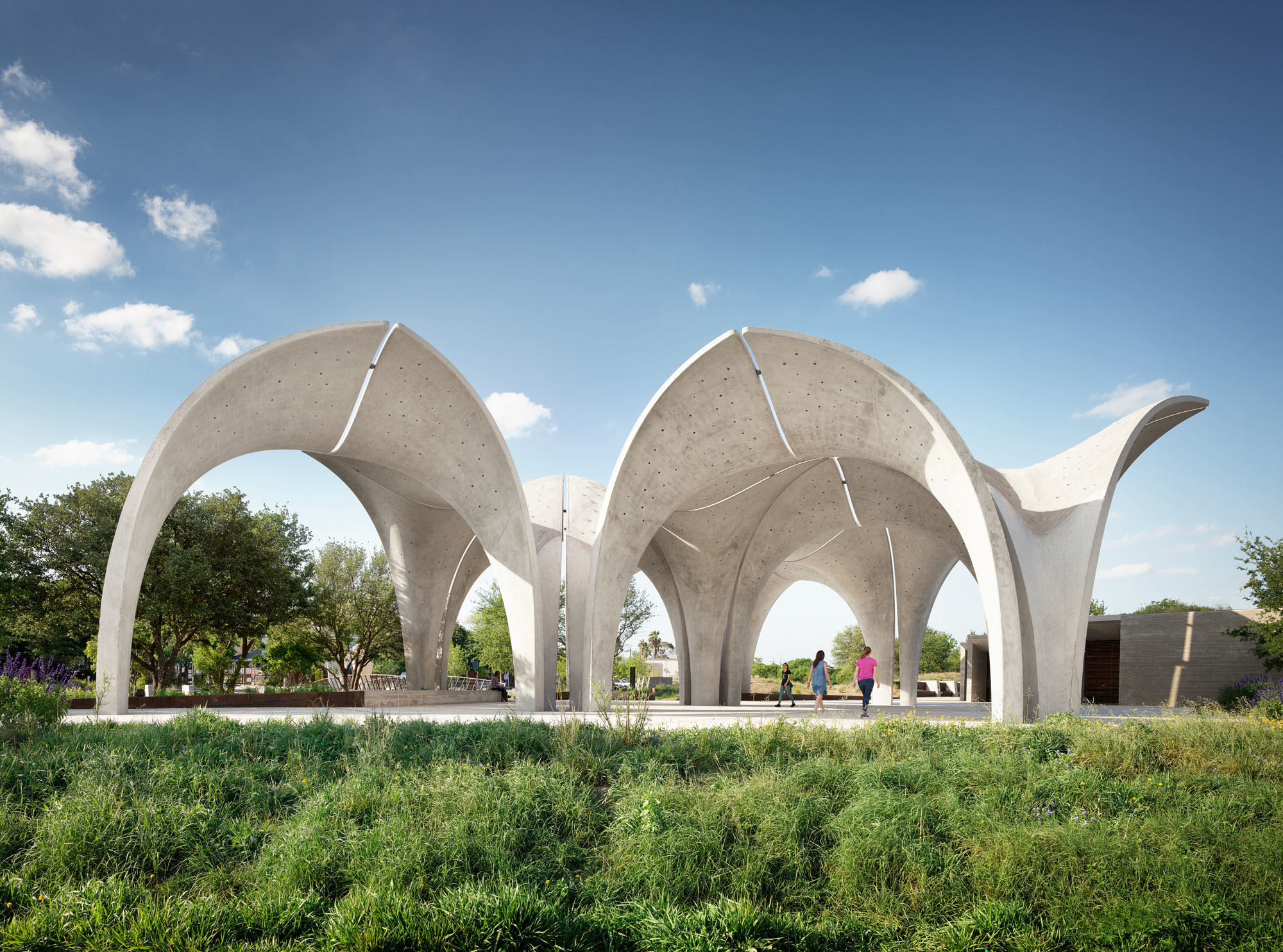 Ein großer Pavillon aus trichterförmig angeordneten Betonmodulen, die an Blütenkelche angelehnt sind, dient wie das Vorbild in der Natur als Regenwasserkollektor