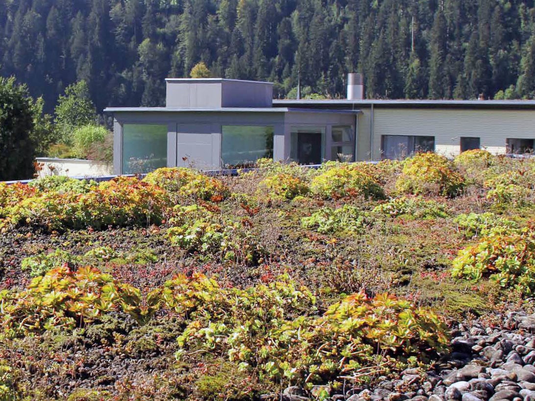 Als Teil im Gesamtaufbau des Gründachs speichert das druckbelastbare Drainelement RE 40 von Bauder für eine gewisse Zeit zusätzlich Niederschlag und entlastet das Abwassersystem und die Abdichtung.