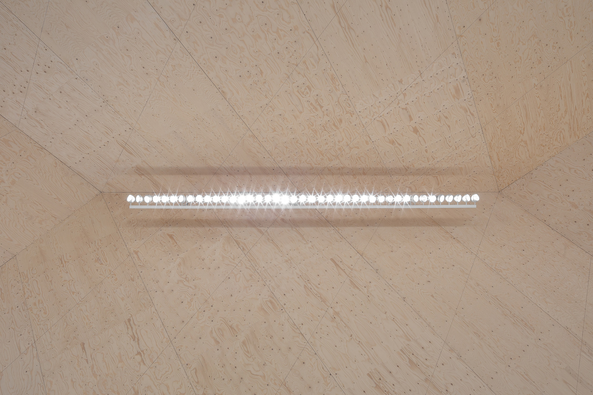 Neue Ateliers der Kunstakademie Münster | Holz | Bauen im Bestand