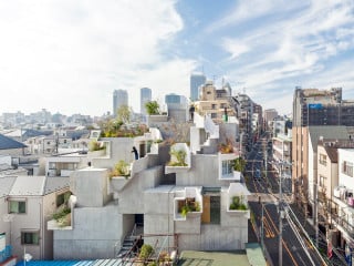 Das Tree-ness House von Akihisa Hirata Architects soll von seinen Bewohnern wie ein natürlicher Lebensraum in Besitz genommen werden.