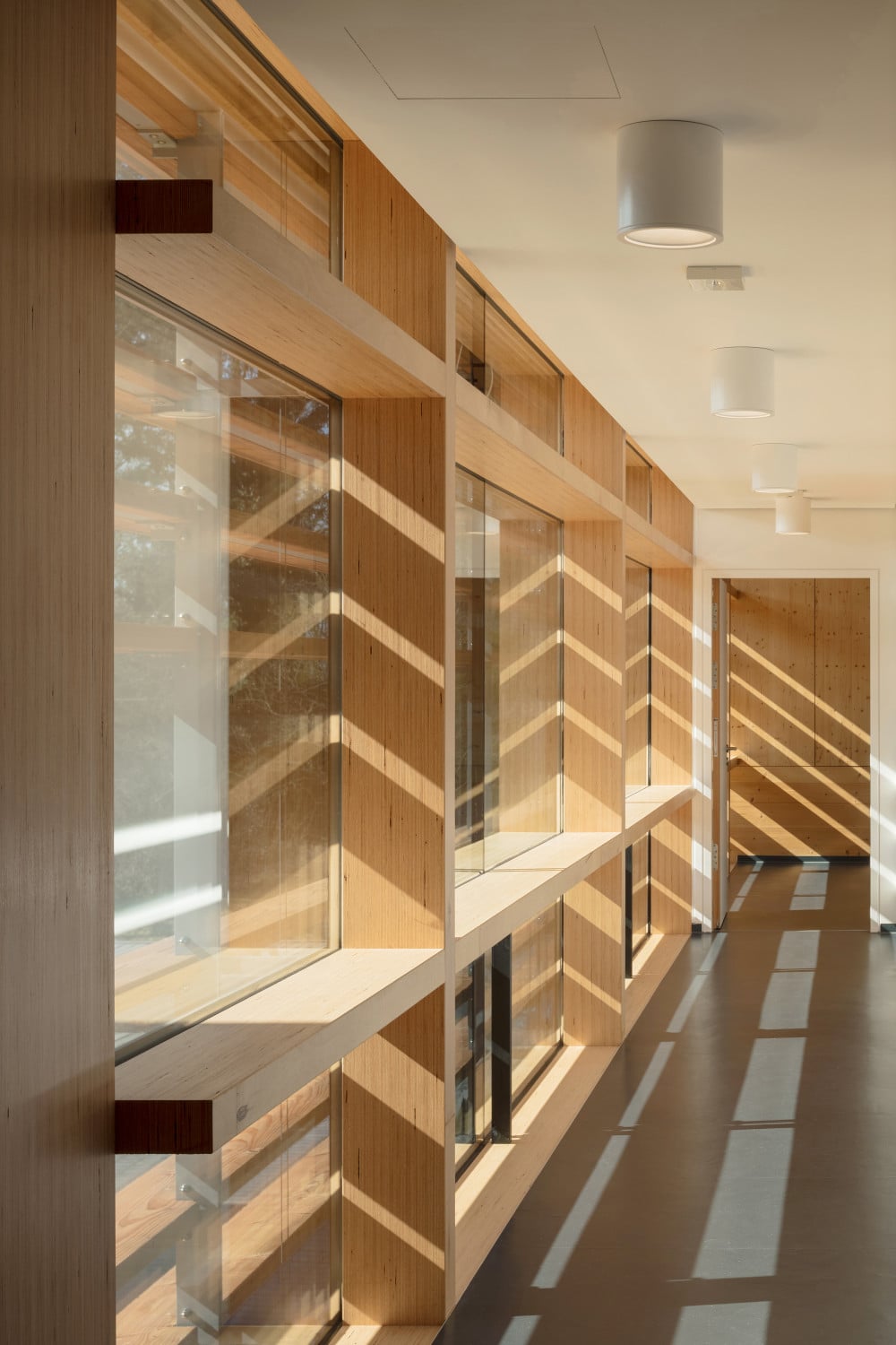 Das Tragwerk des konstruktiven Holzbaus besteht aus Furnierschichtholz aus heimischer Buche.